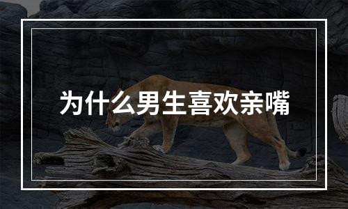 为什么男生喜欢亲嘴