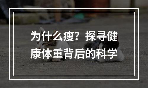 为什么瘦？探寻健康体重背后的科学