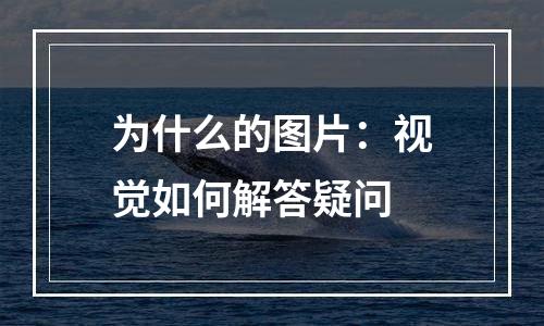 为什么的图片：视觉如何解答疑问