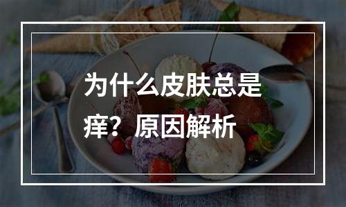 为什么皮肤总是痒？原因解析