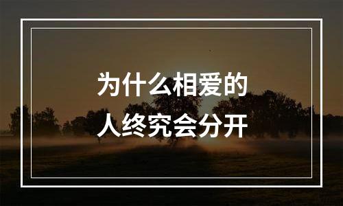 为什么相爱的人终究会分开