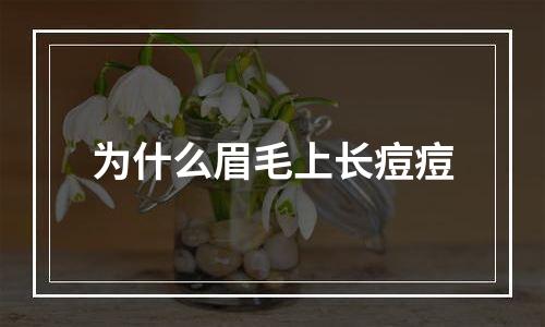 为什么眉毛上长痘痘