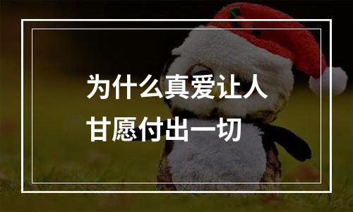 为什么真爱让人甘愿付出一切