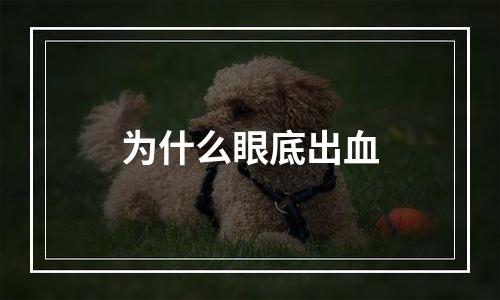 为什么眼底出血