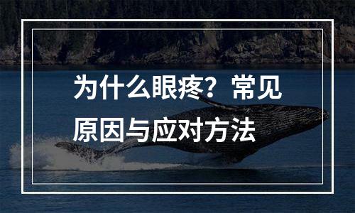 为什么眼疼？常见原因与应对方法