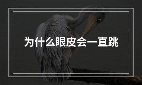 为什么眼皮会一直跳