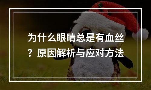 为什么眼睛总是有血丝？原因解析与应对方法