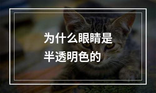 为什么眼睛是半透明色的
