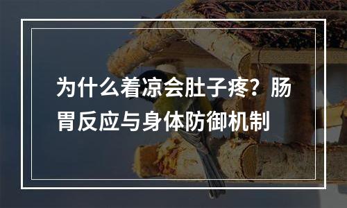 为什么着凉会肚子疼？肠胃反应与身体防御机制