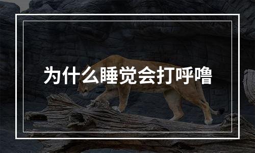 为什么睡觉会打呼噜