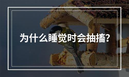 为什么睡觉时会抽搐？