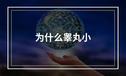 为什么睾丸小