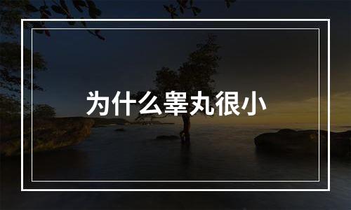 为什么睾丸很小