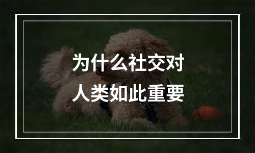 为什么社交对人类如此重要