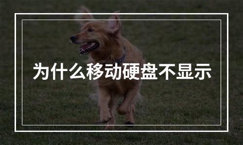 为什么移动硬盘不显示