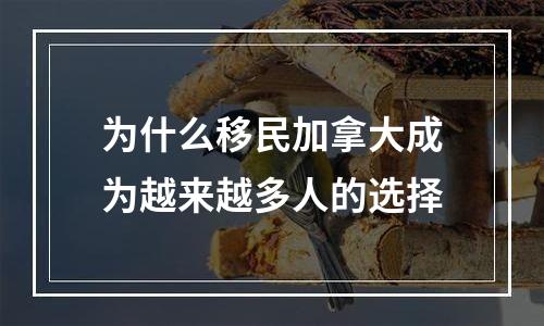为什么移民加拿大成为越来越多人的选择