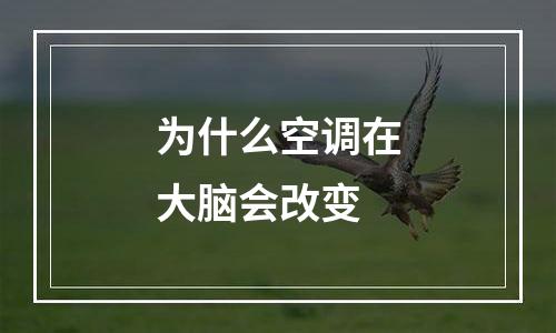 为什么空调在大脑会改变