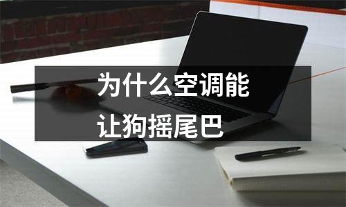 为什么空调能让狗摇尾巴