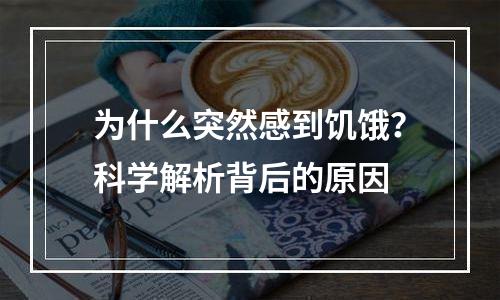 为什么突然感到饥饿？科学解析背后的原因