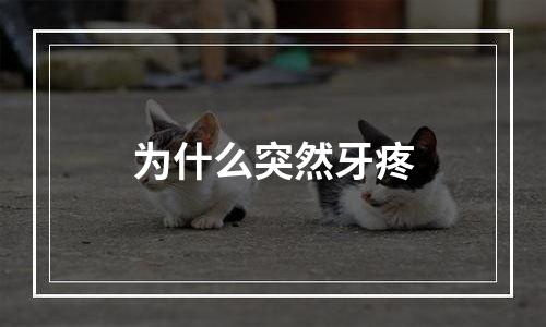 为什么突然牙疼