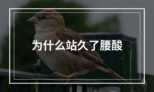 为什么站久了腰酸