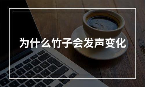 为什么竹子会发声变化