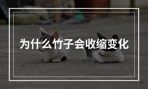 为什么竹子会收缩变化