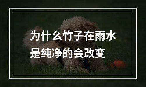 为什么竹子在雨水是纯净的会改变