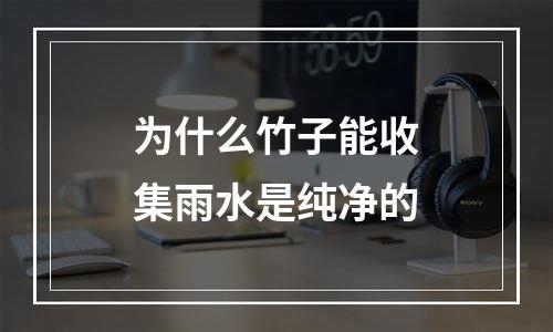 为什么竹子能收集雨水是纯净的