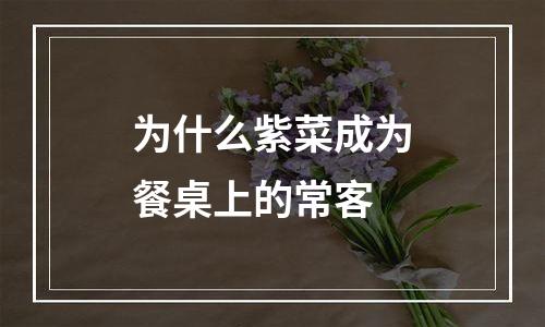 为什么紫菜成为餐桌上的常客