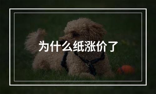 为什么纸涨价了