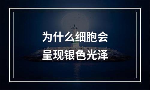 为什么细胞会呈现银色光泽