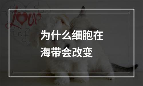 为什么细胞在海带会改变