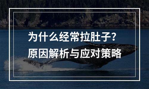 为什么经常拉肚子？原因解析与应对策略