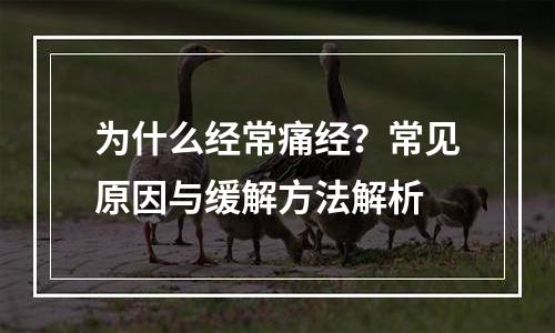 为什么经常痛经？常见原因与缓解方法解析