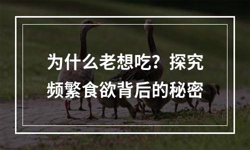 为什么老想吃？探究频繁食欲背后的秘密
