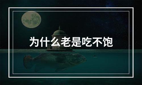 为什么老是吃不饱