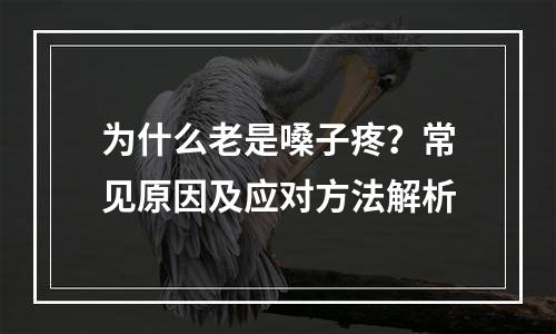 为什么老是嗓子疼？常见原因及应对方法解析