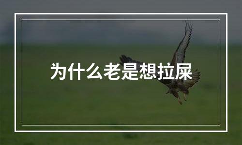 为什么老是想拉屎