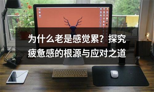 为什么老是感觉累？探究疲惫感的根源与应对之道