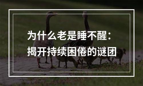 为什么老是睡不醒：揭开持续困倦的谜团