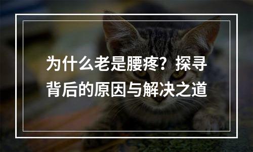 为什么老是腰疼？探寻背后的原因与解决之道