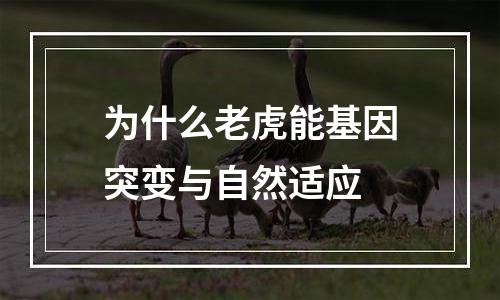 为什么老虎能基因突变与自然适应