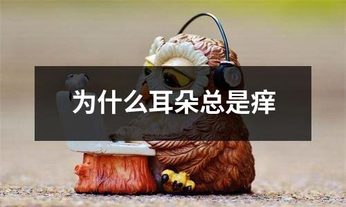 为什么耳朵总是痒