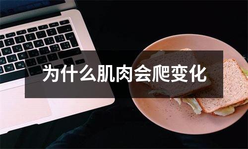 为什么肌肉会爬变化