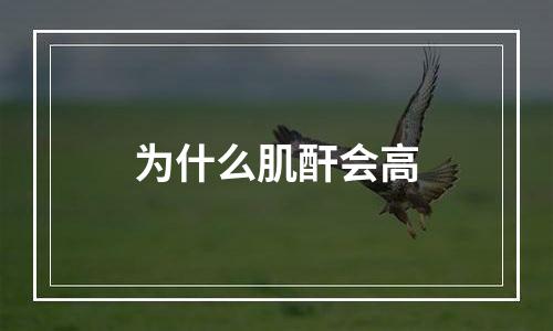 为什么肌酐会高