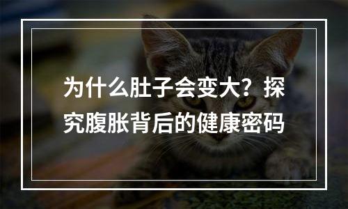 为什么肚子会变大？探究腹胀背后的健康密码