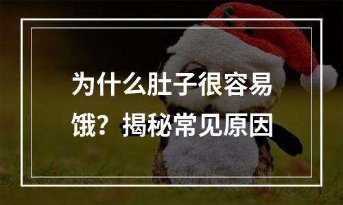 为什么肚子很容易饿？揭秘常见原因