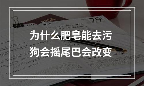 为什么肥皂能去污 狗会摇尾巴会改变