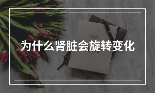 为什么肾脏会旋转变化